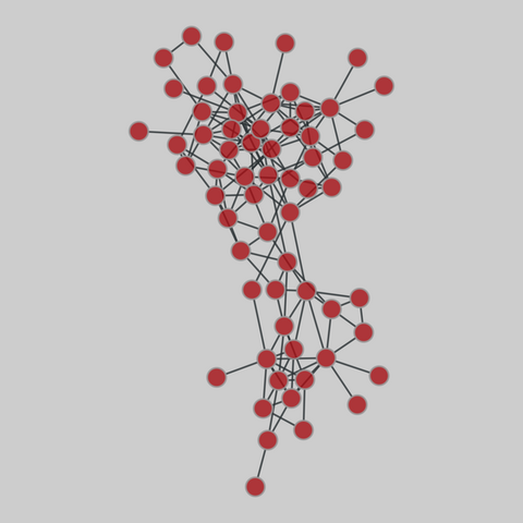 dolphins: Dolphin social network (1994-2001). 62 nodes, 159 edges. https://networks.skewed.de/net/dolphins