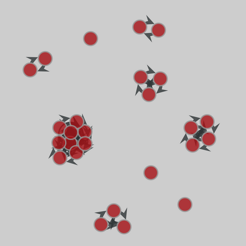 dutch_school: Dutch school friendships (2003). 26 nodes, 87 edges. https://networks.skewed.de/net/dutch_school#klas12b-primary