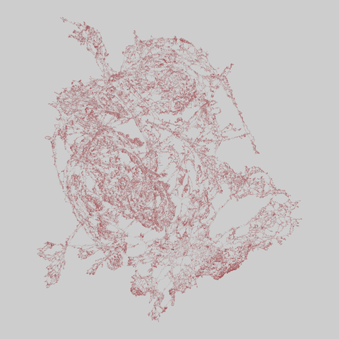 us_roads: United States roads (2000). 575860 nodes, 675049 edges. https://networks.skewed.de/net/us_roads#WA