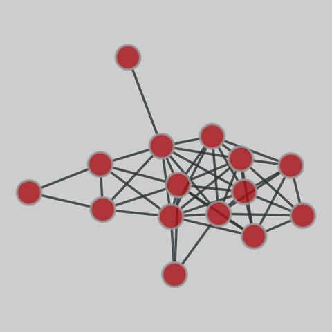 ambassador: Philippines Ambassador bombing (2000). 16 nodes, 49 edges. https://networks.skewed.de/net/ambassador#1995_1999