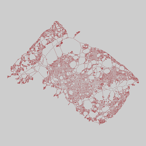us_roads: United States roads (2000). 9559 nodes, 14909 edges. https://networks.skewed.de/net/us_roads#DC