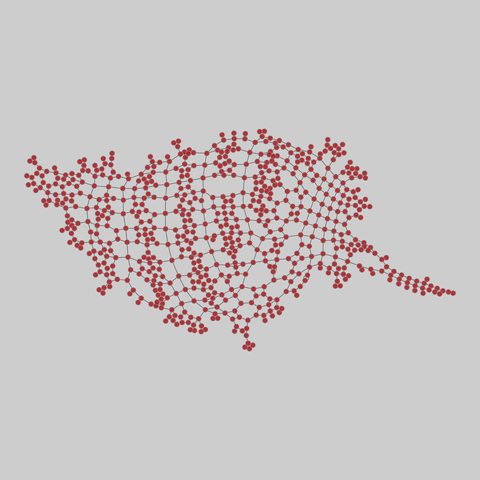 urban_streets: Urban street networks (2017). 697 nodes, 1086 edges. https://networks.skewed.de/net/urban_streets#richmond