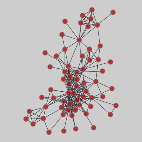 train_terrorists: Madrid train bombing terrorists (2004). 64 nodes, 243 edges. https://networks.skewed.de/net/train_terrorists