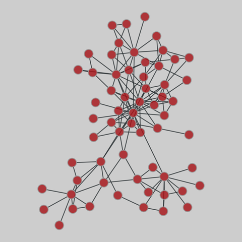terrorists_911: 9-11 terrorist network. 62 nodes, 152 edges. https://networks.skewed.de/net/terrorists_911