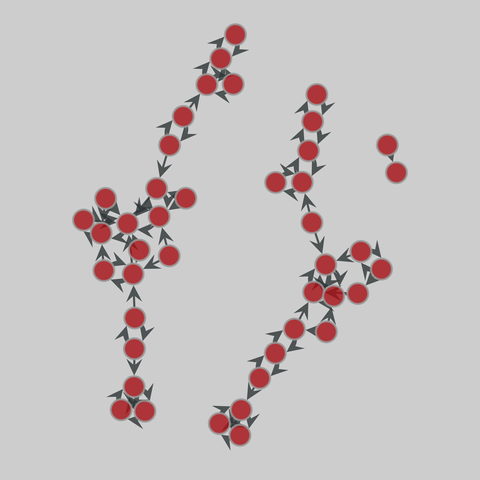 moreno_sociograms: Moreno's sociograms (1934). 43 nodes, 80 edges. https://networks.skewed.de/net/moreno_sociograms#grade_6