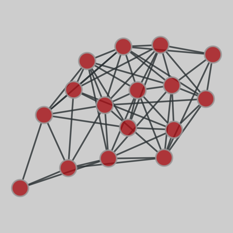 new_guinea_tribes: New Guinea Highlands tribes (1954). 16 nodes, 58 edges. https://networks.skewed.de/net/new_guinea_tribes