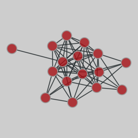 ambassador: Philippines Ambassador bombing (2000). 16 nodes, 69 edges. https://networks.skewed.de/net/ambassador#TIE_YEAR