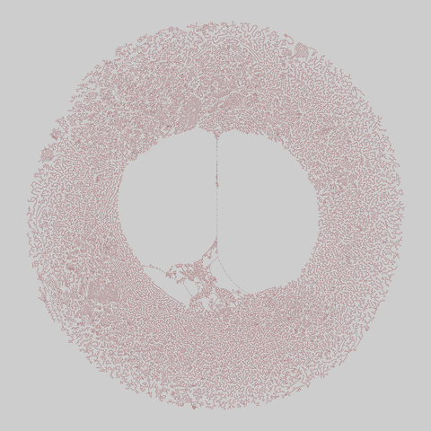 us_roads: United States roads (2000). 69082 nodes, 78100 edges. https://networks.skewed.de/net/us_roads#AK