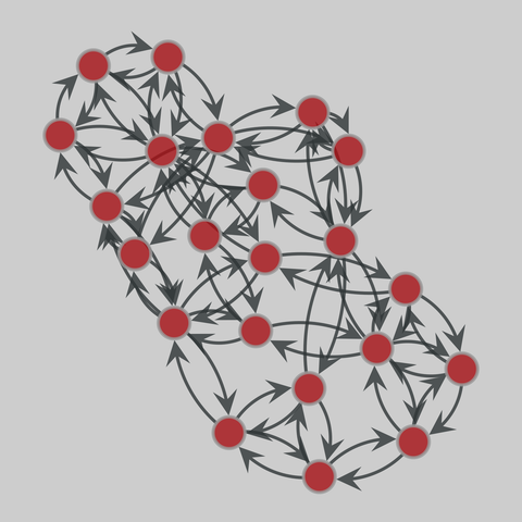 moreno_taro: Papuan gift-giving (1970). 22 nodes, 78 edges. https://networks.skewed.de/net/moreno_taro