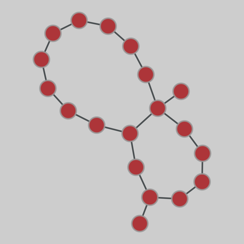 internet_top_pop: Internet topology (PoP level) (1969-2012). 19 nodes, 20 edges. https://networks.skewed.de/net/internet_top_pop#Savvis